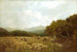 Welsh Harvest Field