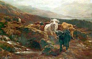 Scottish Landscape, Highland Cattle