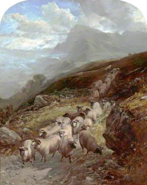 Sheep on a Mountainside