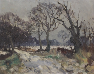 Winter Scene