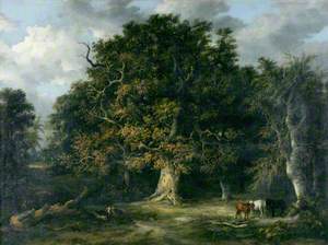 The Forest Oak