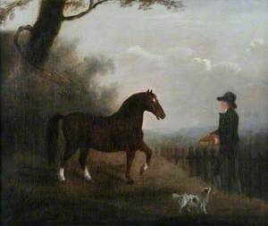 Man and Horse