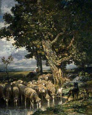 Sheep at a Watering Place