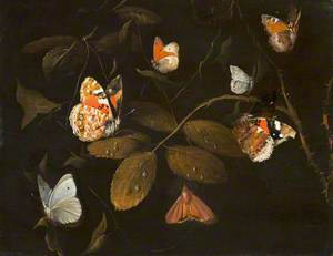 Sept papillions sur une branche de rosier (Still Life of Six Butterflies and a Moth on a Rose Branch)