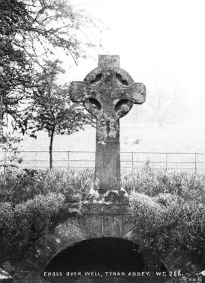 Cross over Well, Tynan Abbey
