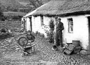 'Irish Home Spun' Spinning the Wool in the Glynns of Antrim
