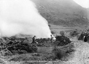 Burning Seaweed for Kelp in an Antrim Coast Glen