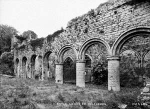 Boyle Abbey, Co. Roscommon