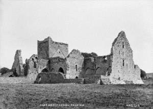 Hoar Abbey, Cashel, from North West
