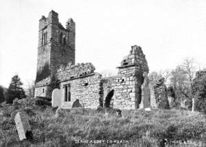 Slane Abbey, Co. Meath