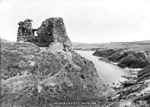 Blackcastle, Wicklow