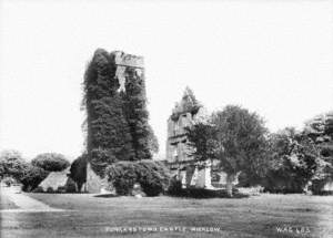 Dunganstown Castle, Wicklow