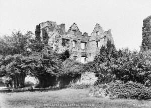 Dunganstown Castle, Wicklow