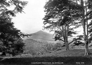 Sugarloaf Mountain, Co. Wicklow