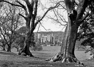 Castlewellan Castle