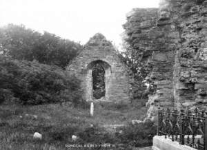 Donegal Abbey from North