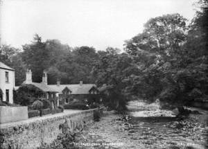 The Fairy Glen, Rostrevor