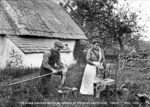 The Clove, Used for Removing Shoves after Hand Scutching, Toome