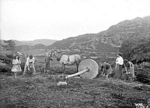 Lint Wheel for Bruising Flax, Co. Donegal