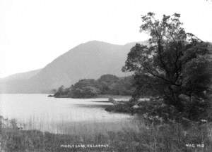 Middle Lake, Killarney