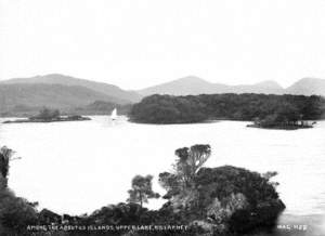 Among the Arbutus Islands, Upper Lake, Killarney