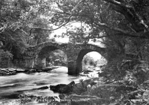 Old Weir Bridge and Rapids, Killarney