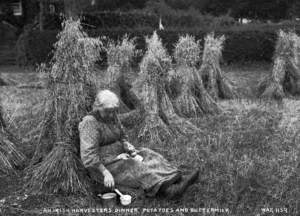 An Irish Harvester's Dinner, Potatoes and Buttermilk