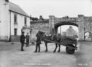 Farm Produce for Carnlough