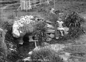 St Kieran's Holy Well, Kells