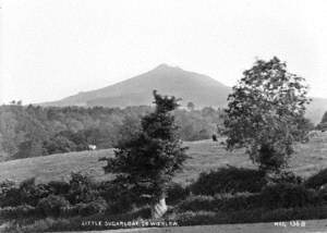 Little Sugarloaf, Co. Wicklow