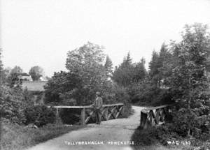 Tullybranagan, Newcastle