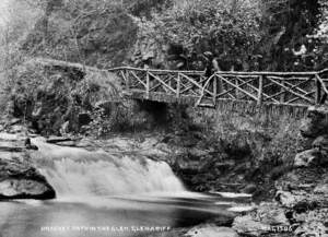 Bracket Path in the Glen, Glenariff