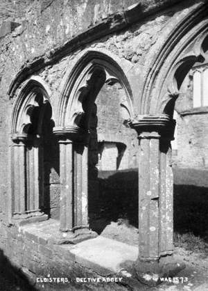 Cloisters, Bective Abbey