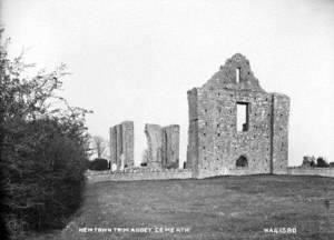 Newtown Trim Abbey, Co. Meath