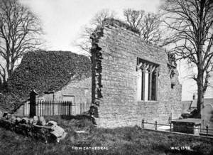 Trim Cathedral