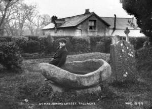 St Maelruain's Losset, Tallaght