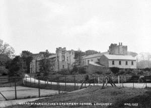 Board of Agriculture's Creamery School Loughrey