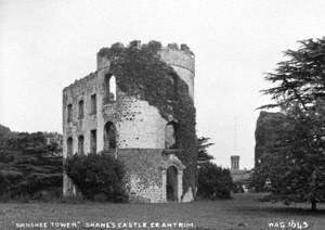 'Banshee Tower', Shane's Castle, Co. Antrim