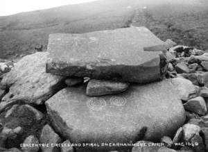 Concentric Circle and Spiral on Carnamore Cairn