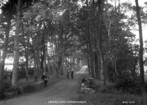 Lover's Lane, Carrickfergus