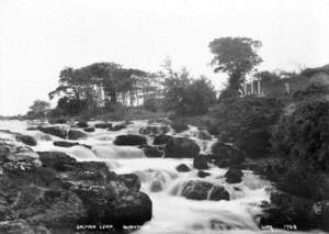 Salmon Leap, Bushmills