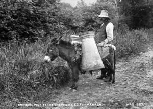 Bringing Milk to the Creamery, Co. Fermanagh