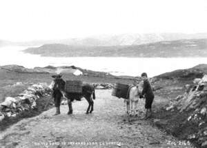 On the Road to Tranarossan, Co. Donegal