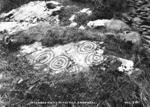 Inscribed Rocks of Meevagh, North West Donegal