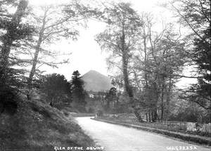 Glen of the Downs