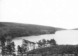 Lough Brae, Co. Wicklow