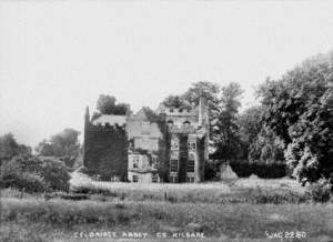 Celbridge Abbey, Co. Kildare