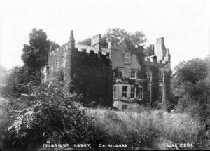 Celbridge Abbey, Co. Kildare