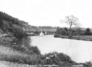 R. Liffey at Knockmaroon