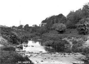 The Dodder at Rathfarnham